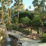 Tropicana pool area